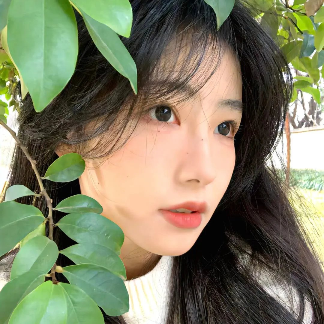 归来之八月十五月儿圆